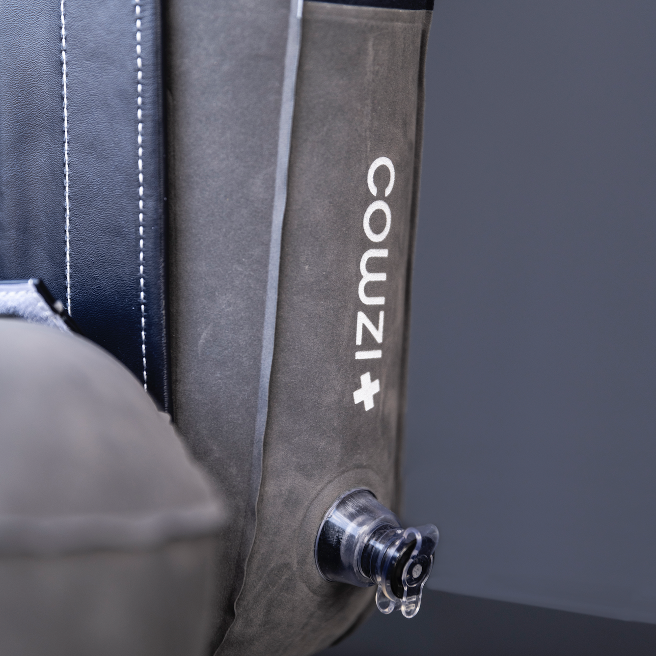 Ensemble COWZI+